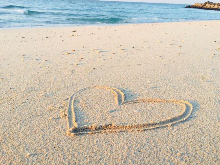 Luxury Seaside Cottage 28 นอคเคอ-เฮสท์ ภายนอก รูปภาพ